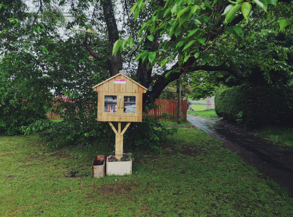 Edinburgning kichik bepul kutubxonalari